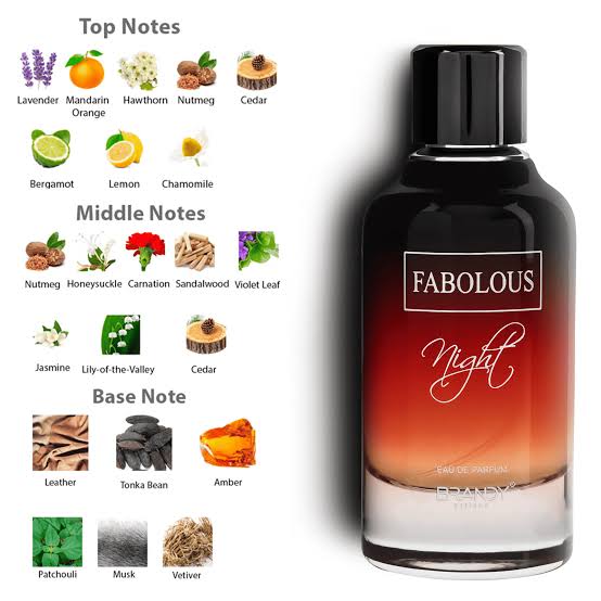 Brandy Designs Fabolous Night EDP(100ml) 100% Authentic - ScentoraStudio