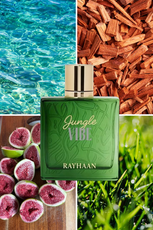 Rayhaan Jungle Vibes