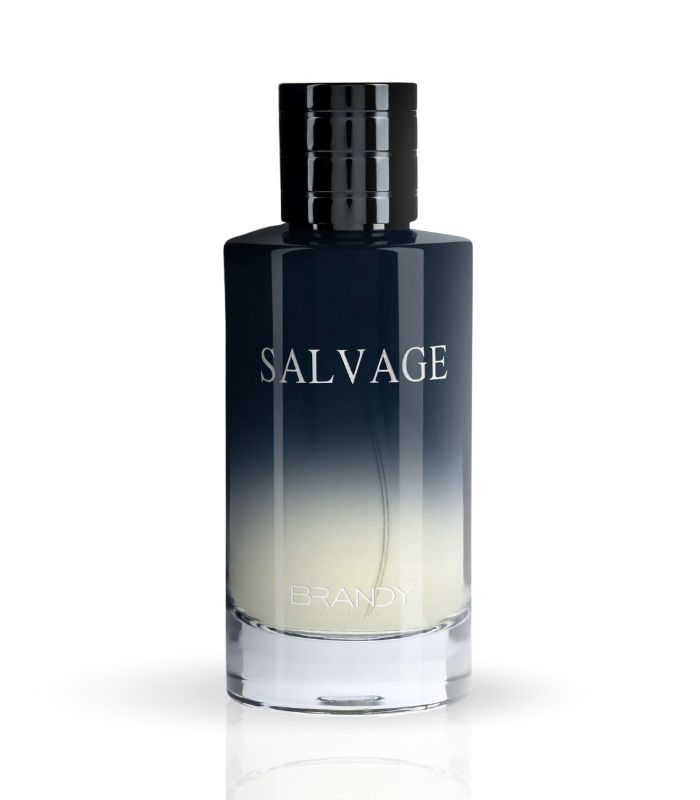 Brandy Designs Salvage EDP(100ml) 100%Authentic