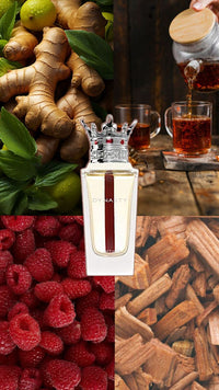 Lattafa Dynasty 100ml (100% Authentic) - ScentoraStudio