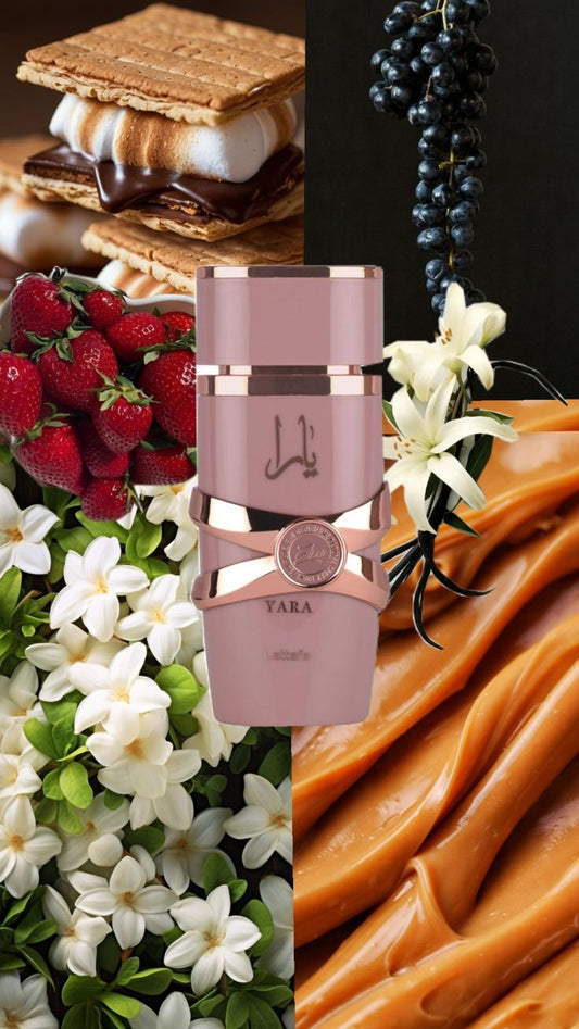 Lattafa Yara Elixir (100% Authentic)