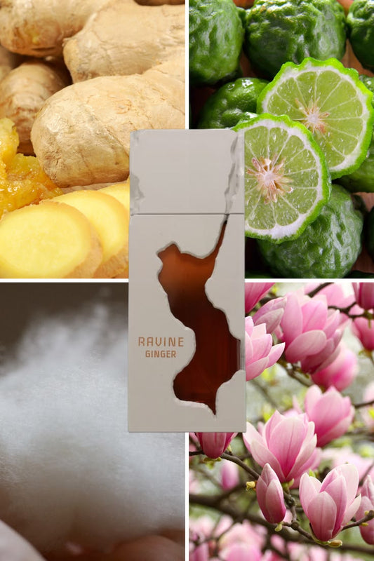 French  Avenue Ravine Ginger (100% Authentic)